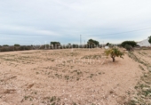 Finca rústica en venta en Crevillente ref: TR306315 foto