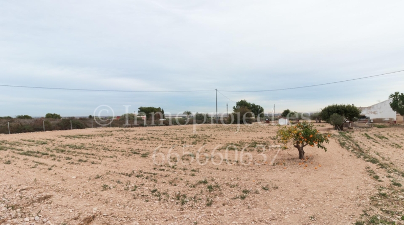 Alicante - Crevillente - 6000m2