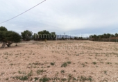 Finca rústica en venta en Crevillente ref: TR306315 foto