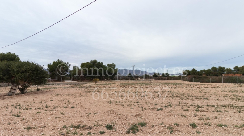 Alicante - Crevillente - 6000m2