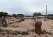Finca rústica en venta en Crevillente ref: TR306315 foto