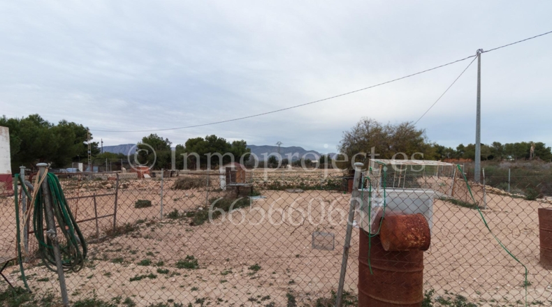 Alicante - Crevillente - 6000m2