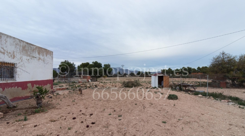Alicante - Crevillente - 6000m2