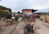 Finca rústica en venta en Crevillente ref: TR306315 foto