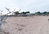 Finca rústica en venta en Crevillente ref: TR306315 foto