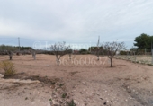 Finca rústica en venta en Crevillente ref: TR306315 foto