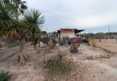 Finca rústica en venta en Crevillente ref: TR306315 foto