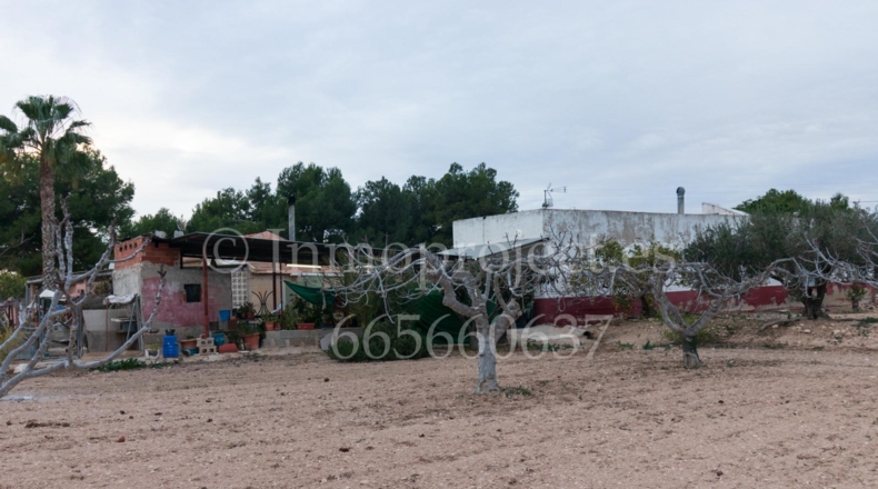 Alicante - Crevillente - 6000m2