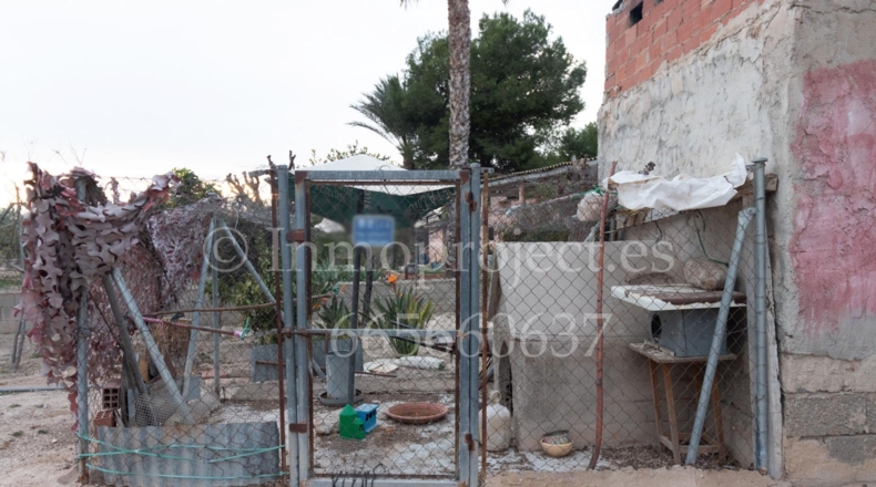 Alicante - Crevillente - 6000m2