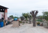 Finca rústica en venta en Crevillente ref: TR306315 foto