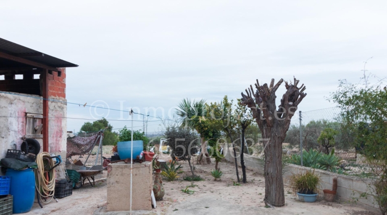 Alicante - Crevillente - 6000m2
