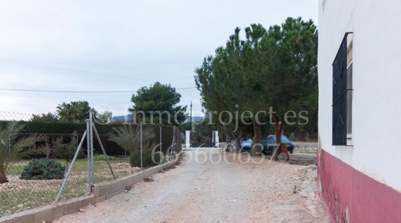 Alicante - Crevillente - 6000m2