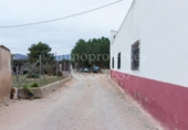 Finca rústica en venta en Crevillente ref: TR306315 foto