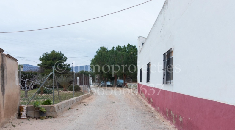 Alicante - Crevillente - 6000m2
