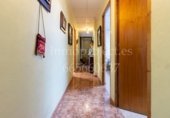 Finca rústica en venta en Crevillente ref: TR306315 foto