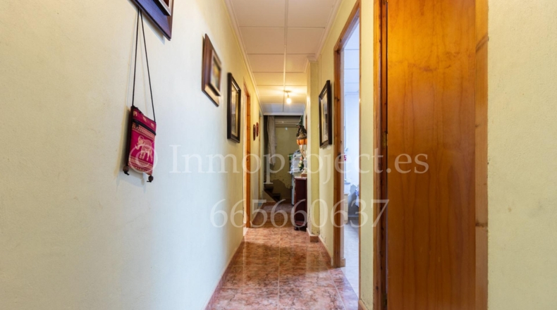 Alicante - Crevillente - 6000m2