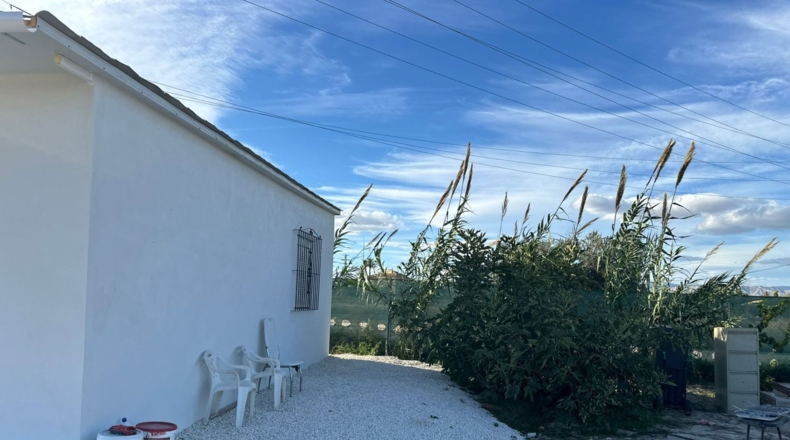 Аликанте - Muchamiel - 3500m2