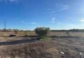 Finca rústica en venda a la España, Mutxamel, ref.: TR350146 foto