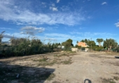 Finca rústica en venda a la España, Mutxamel, ref.: TR350146 foto