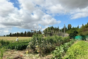 Foto 11