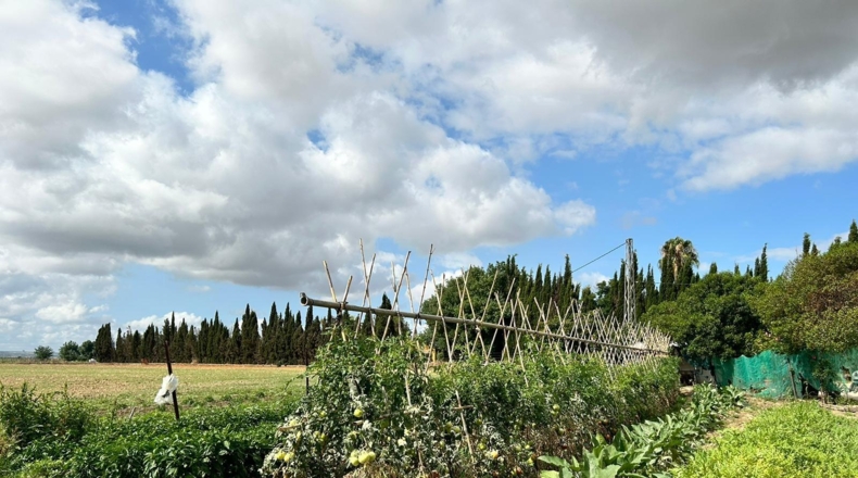 Cádiz - Jerez de la Frontera - 57000m2