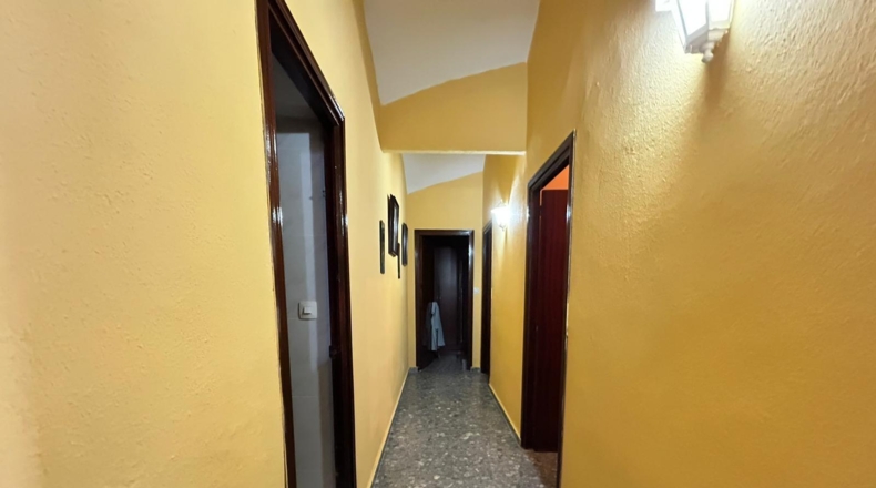 Cádiz - Jerez de la Frontera - 57000m2