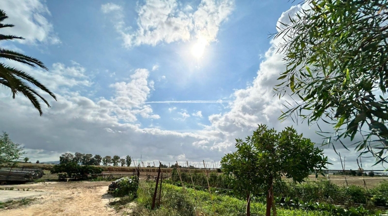 Cádiz - Jerez de la Frontera - 57000m2