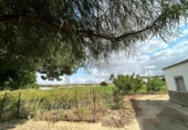 Finca rústica en venda a Jerez de la Frontera ref.: TR394587 foto
