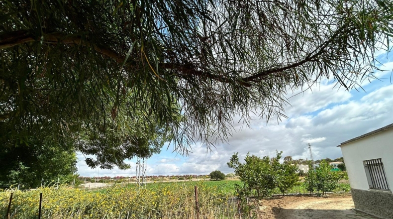 Cádiz - Jerez de la Frontera - 57000m2