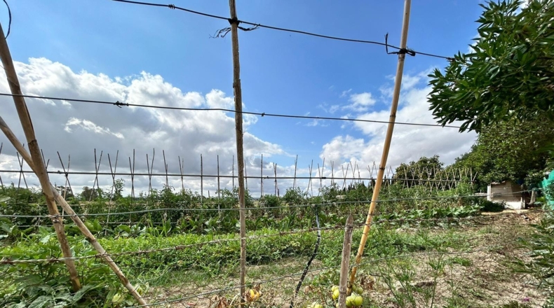 Cádiz - Jerez de la Frontera - 57000m2