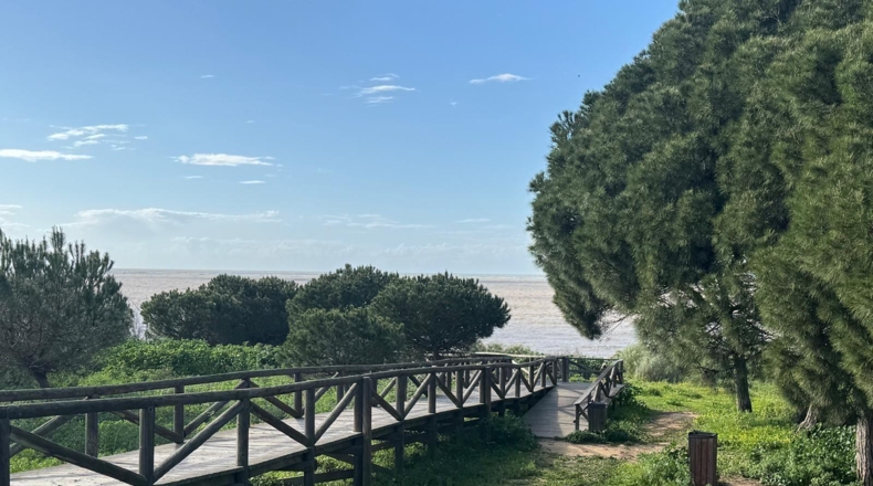 Cádiz - Sanlúcar de Barrameda - 427m2
