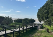 Xalet independent amb terreny en venda a Sanlúcar de Barrameda ref.: TR394592 foto