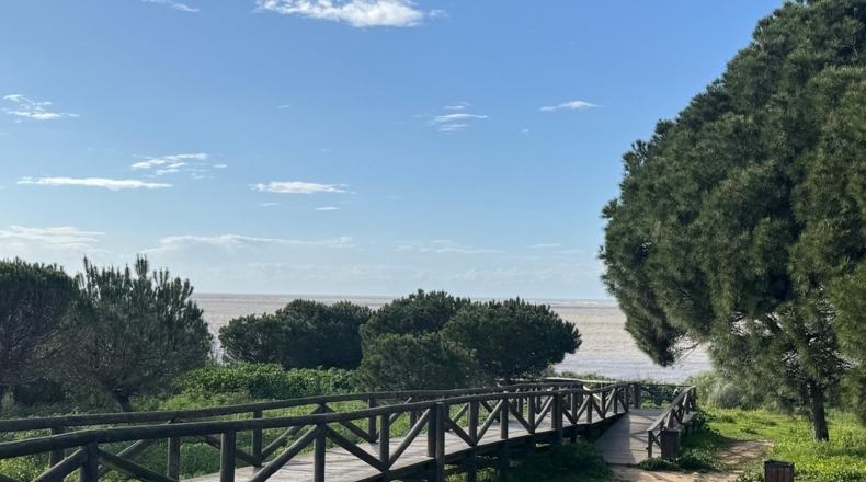 Cádiz - Sanlúcar de Barrameda - 427m2