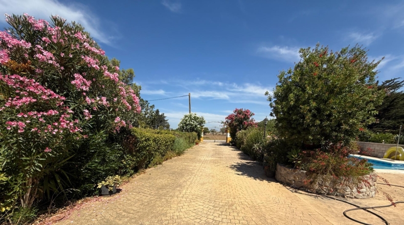 Cádiz - Chiclana de la Frontera - 2400m2