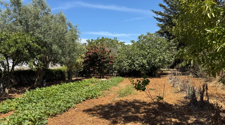 Cádiz - Chiclana de la Frontera - 2400m2