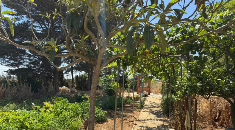 Cádiz - Chiclana de la Frontera - 2400m2