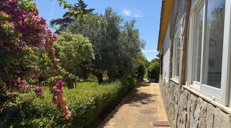 Cádiz - Chiclana de la Frontera - 2400m2