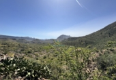 Finca rústica en venta en San Bartolomé de Tirajana ref: TR396835 foto