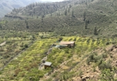 Finca rústica en venta en San Bartolomé de Tirajana ref: TR396835 foto