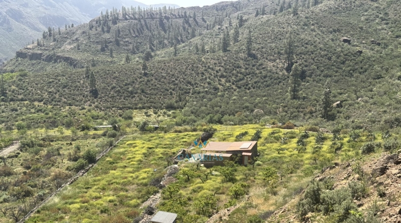 Las Palmas - San Bartolomé de Tirajana - 13138m2