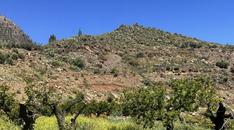 Las Palmas - San Bartolomé de Tirajana - 13138m2
