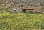Finca rústica en venta en San Bartolomé de Tirajana ref: TR396835 foto