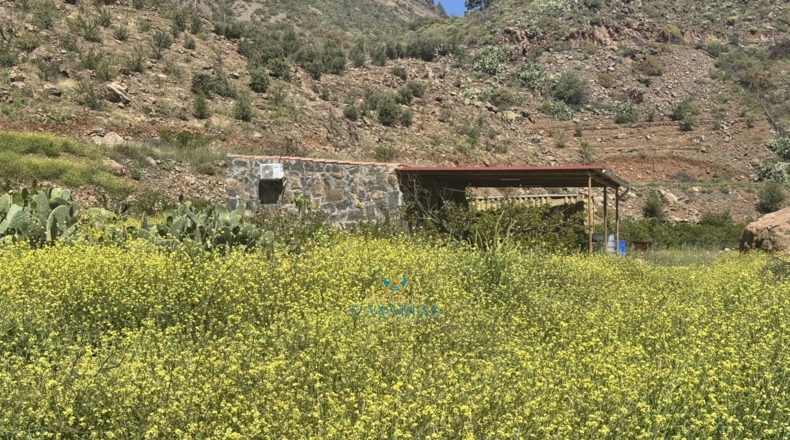 Las Palmas - San Bartolomé de Tirajana - 13138m2