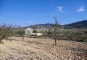 Terreny no urbanitzable en venda a la España, el Fondó de les Neus, ref.: TR3113 foto