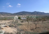 Terreny no urbanitzable en venda a la España, el Fondó de les Neus, ref.: TR3131 foto