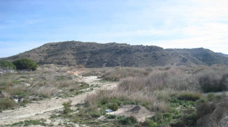 Alicante - La Columna - 80000m2