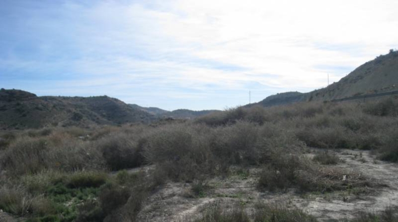 Alicante - La Columna - 80000m2