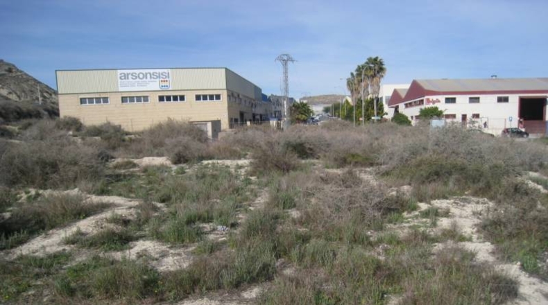 Alicante - La Columna - 80000m2