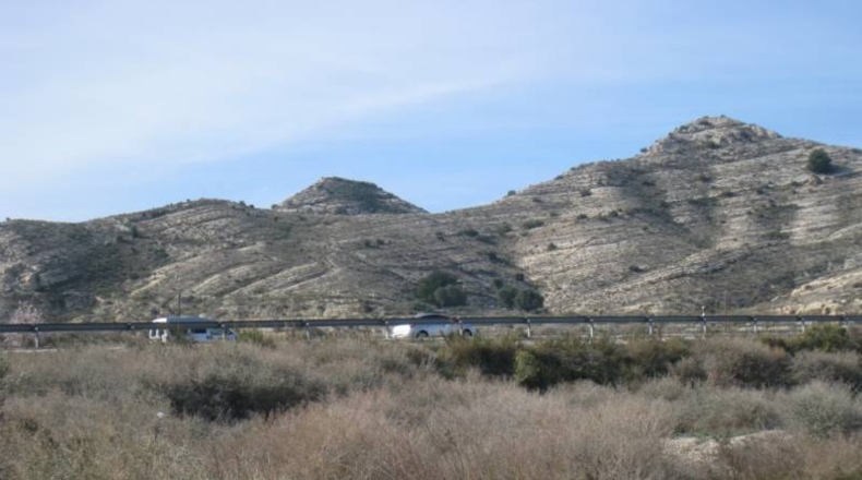 Alicante - La Columna - 80000m2