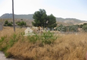 Nau industrial en venda a la España, el Fondó de les Neus, ref.: TR39478 foto